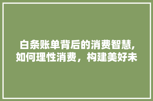 白条账单背后的消费智慧,如何理性消费，构建美好未来