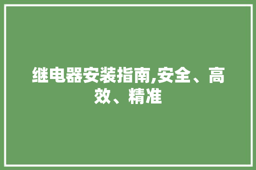 继电器安装指南,安全、高效、精准