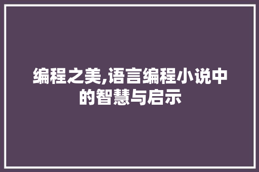 编程之美,语言编程小说中的智慧与启示