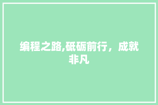 编程之路,砥砺前行，成就非凡