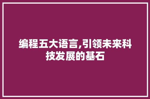 编程五大语言,引领未来科技发展的基石