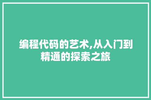 编程代码的艺术,从入门到精通的探索之旅
