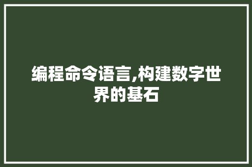 编程命令语言,构建数字世界的基石