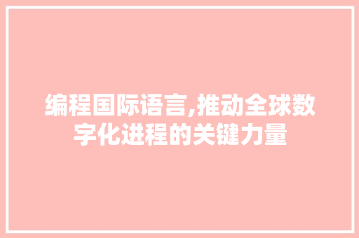 编程国际语言,推动全球数字化进程的关键力量 网络技术