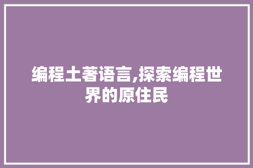 编程土著语言,探索编程世界的原住民