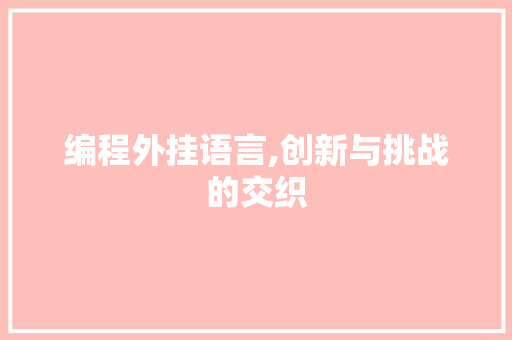 编程外挂语言,创新与挑战的交织