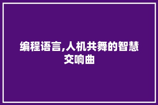编程语言,人机共舞的智慧交响曲