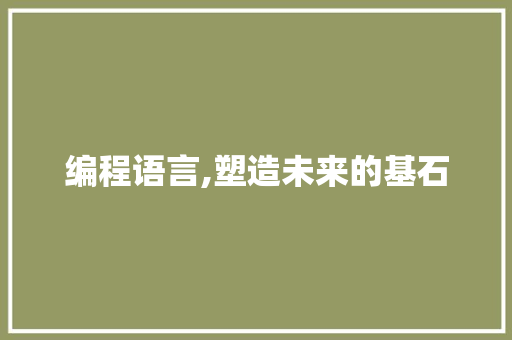 编程语言,塑造未来的基石