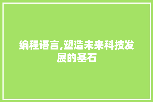 编程语言,塑造未来科技发展的基石