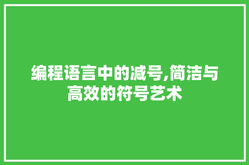编程语言中的减号,简洁与高效的符号艺术