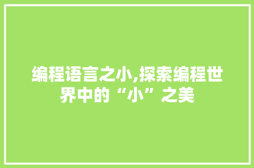 编程语言之小,探索编程世界中的“小”之美