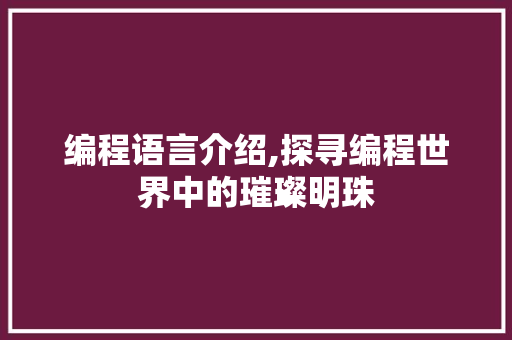编程语言介绍,探寻编程世界中的璀璨明珠