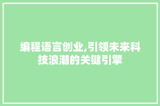 编程语言创业,引领未来科技浪潮的关键引擎