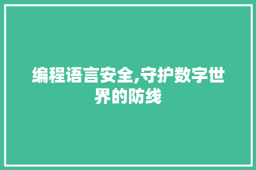 编程语言安全,守护数字世界的防线