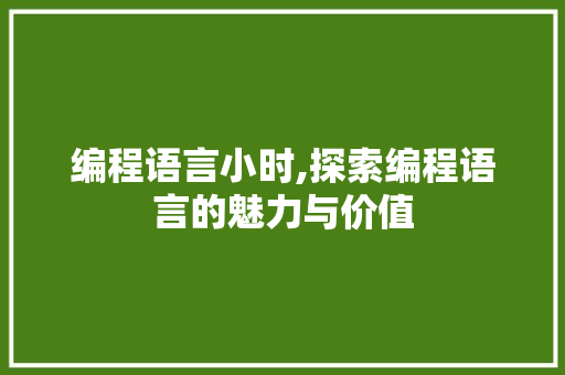 编程语言小时,探索编程语言的魅力与价值