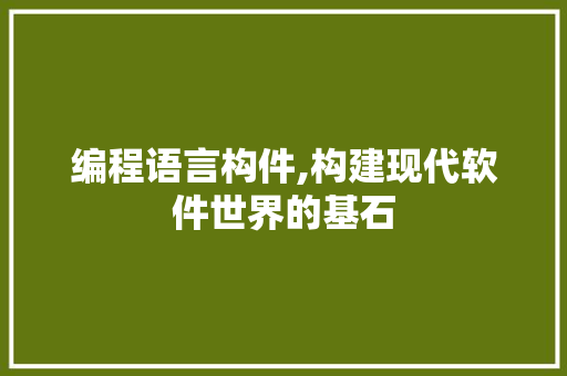 编程语言构件,构建现代软件世界的基石