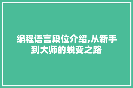 编程语言段位介绍,从新手到大师的蜕变之路