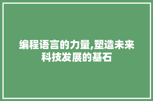 编程语言的力量,塑造未来科技发展的基石
