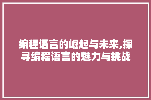 编程语言的崛起与未来,探寻编程语言的魅力与挑战
