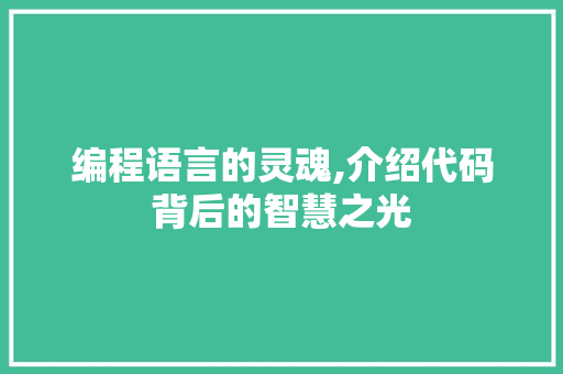 编程语言的灵魂,介绍代码背后的智慧之光