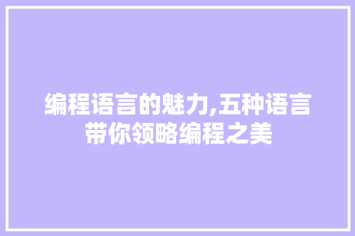 编程语言的魅力,五种语言带你领略编程之美