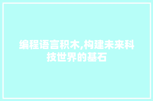 编程语言积木,构建未来科技世界的基石