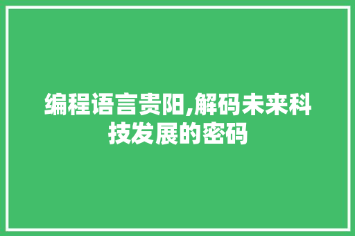 编程语言贵阳,解码未来科技发展的密码