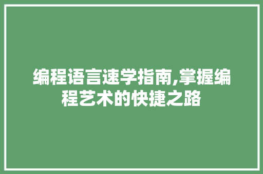 编程语言速学指南,掌握编程艺术的快捷之路