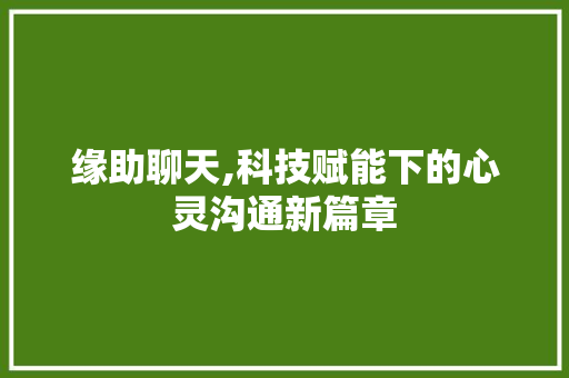 缘助聊天,科技赋能下的心灵沟通新篇章
