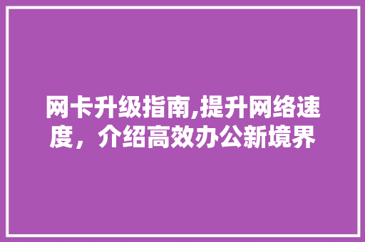 网卡升级指南,提升网络速度，介绍高效办公新境界