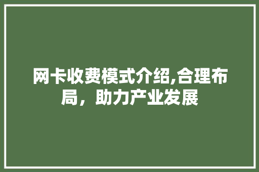 网卡收费模式介绍,合理布局，助力产业发展