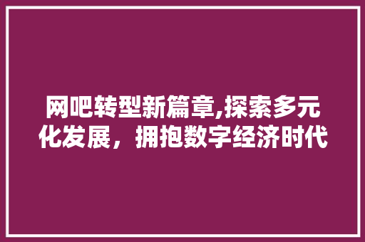 网吧转型新篇章,探索多元化发展，拥抱数字经济时代