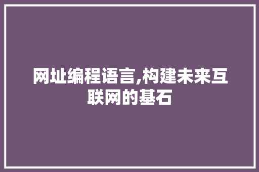 网址编程语言,构建未来互联网的基石