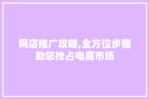 网店推广攻略,全方位步骤助您抢占电商市场