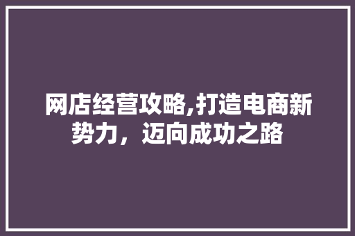 网店经营攻略,打造电商新势力，迈向成功之路