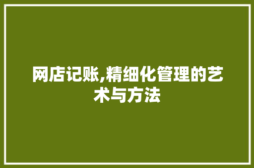 网店记账,精细化管理的艺术与方法