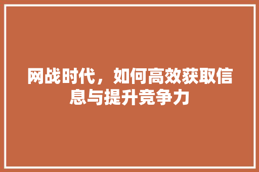 网战时代，如何高效获取信息与提升竞争力