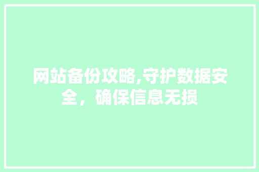 网站备份攻略,守护数据安全，确保信息无损