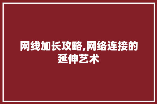 网线加长攻略,网络连接的延伸艺术