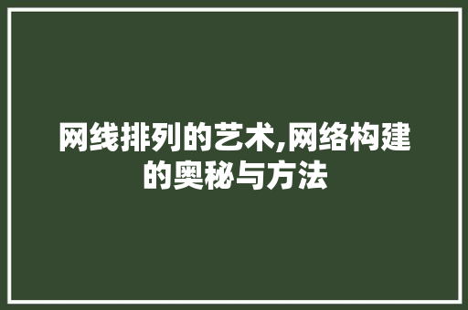 网线排列的艺术,网络构建的奥秘与方法