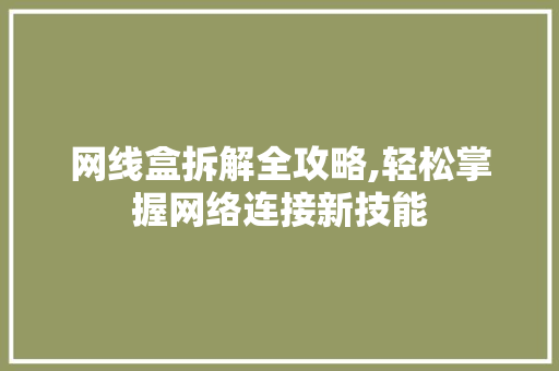 网线盒拆解全攻略,轻松掌握网络连接新技能