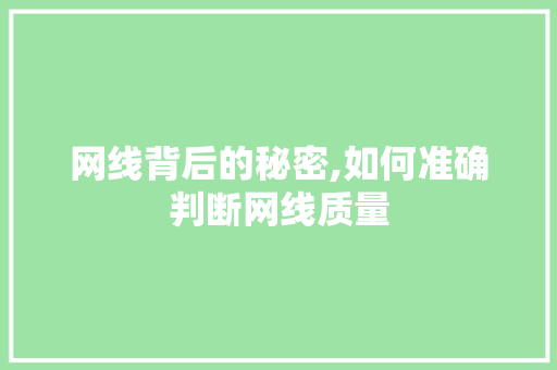网线背后的秘密,如何准确判断网线质量