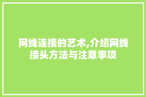 网线连接的艺术,介绍网线接头方法与注意事项