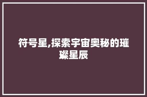符号星,探索宇宙奥秘的璀璨星辰