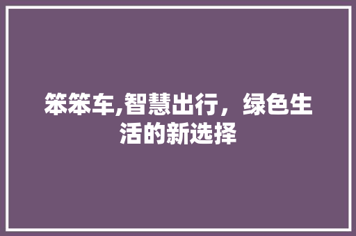 笨笨车,智慧出行，绿色生活的新选择