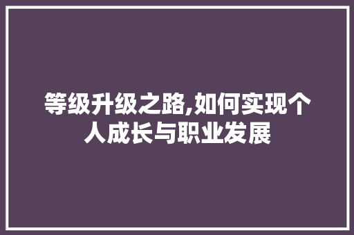 等级升级之路,如何实现个人成长与职业发展