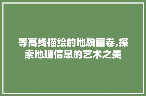 等高线描绘的地貌画卷,探索地理信息的艺术之美