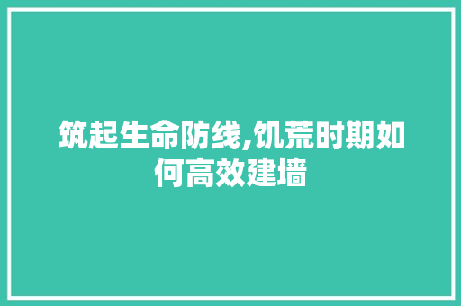 筑起生命防线,饥荒时期如何高效建墙