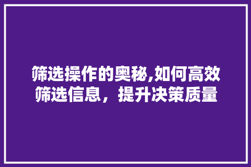 筛选操作的奥秘,如何高效筛选信息，提升决策质量
