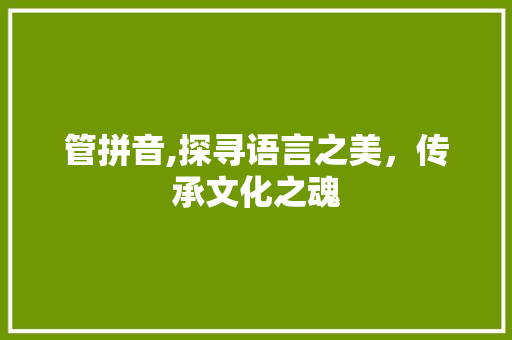 管拼音,探寻语言之美，传承文化之魂